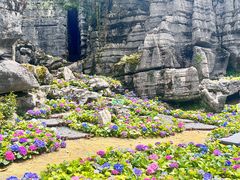 -梭布垭石林景区