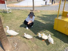 -桃园农庄·桃源宴