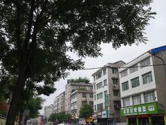 -五中炕饼