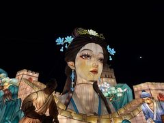 -淄博花灯齐彩城