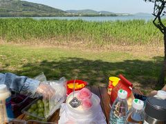 -长广溪湿地公园