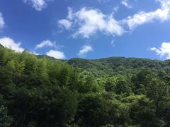 -宁波五龙潭景区