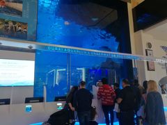 -迪拜水族馆及水下动物园