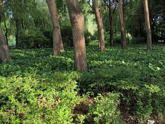 -长春公园(普阳街道)