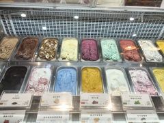 -iceason爱茜茜里·意大利健康冰淇淋(骑龙巷店)