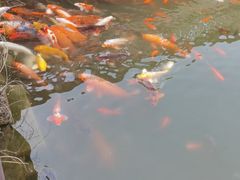 -国色天乡三期陆地乐园