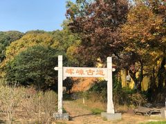 -龙寺生态园