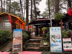 -小小饭店·休闲农庄·安吉松树林里的农家菜