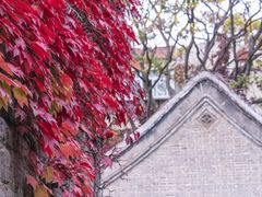 -趵突泉景区