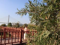 -芒洲湿地公园