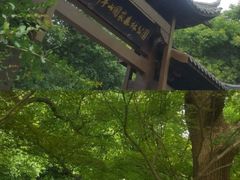 -杭州半山国家森林公园