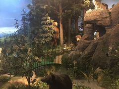 -陕西自然博物馆