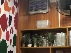 -叁拾加水果专家