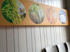 -老娘舅(奥特莱斯店)