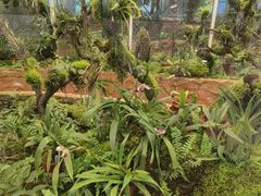 -国家植物园南园