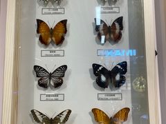 -浙江自然博物院(杭州馆)