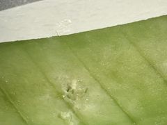 -万盛合(渔人码头店)