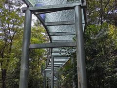 -浙北大峡谷
