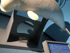 -泉城欧乐堡海洋极地世界