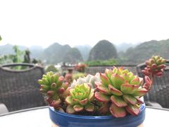 -黄利砖万峰林布依特色酸笋牛肉馆