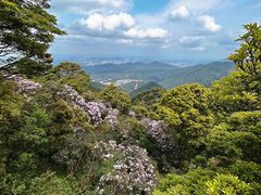 -梧桐山风景名胜区