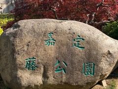 -嘉定紫藤园