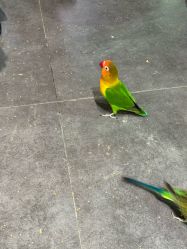 -酷嗒动物文化乐园(cutezoo西溪乐天城店)