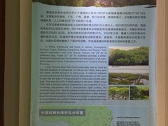 -东寨港红树林旅游区