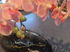 -上和臻品中国菜(花园街店)
