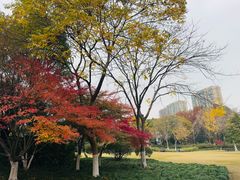 -杭州城北体育公园