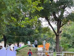 -HERRE·FARM 赫尔露营农场·团建聚会包场