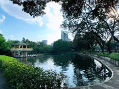 -晓港公园