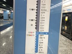 -大龙山(地铁站)