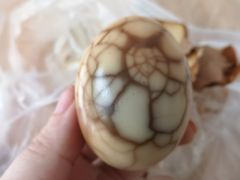 -银瓶嘴森林公园
