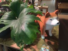 -柴务处·柴犬主题狗咖