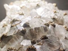 -甘肃地质博物馆