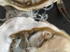 -LENBACH兰巴赫西餐啤酒坊(大连东港店)