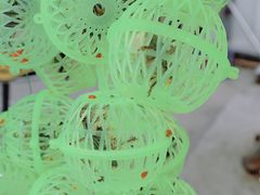 -中环花鸟鱼虫市场