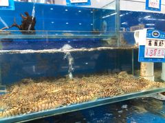 -鑫海韵通大卖场(石园店)