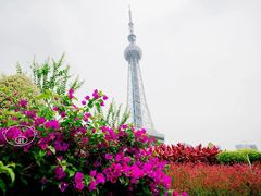 -文华公园(禅城区)