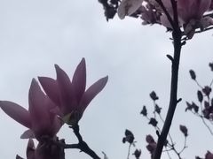 -冶父山国家森林公园