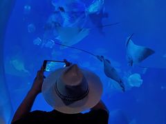 -烟台海昌鲸鲨海洋公园