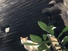-黄埔古港
