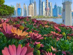 -北外滩滨江绿地