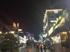 -宝健路步行街(Pedestrian Shopping Street)