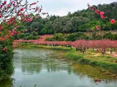 -南国桃园旅游度假区