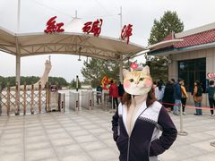 -红碱淖景区