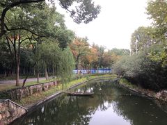 -泰州凤城河风景区-泰山公园