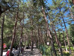 -帽儿山国家森林公园