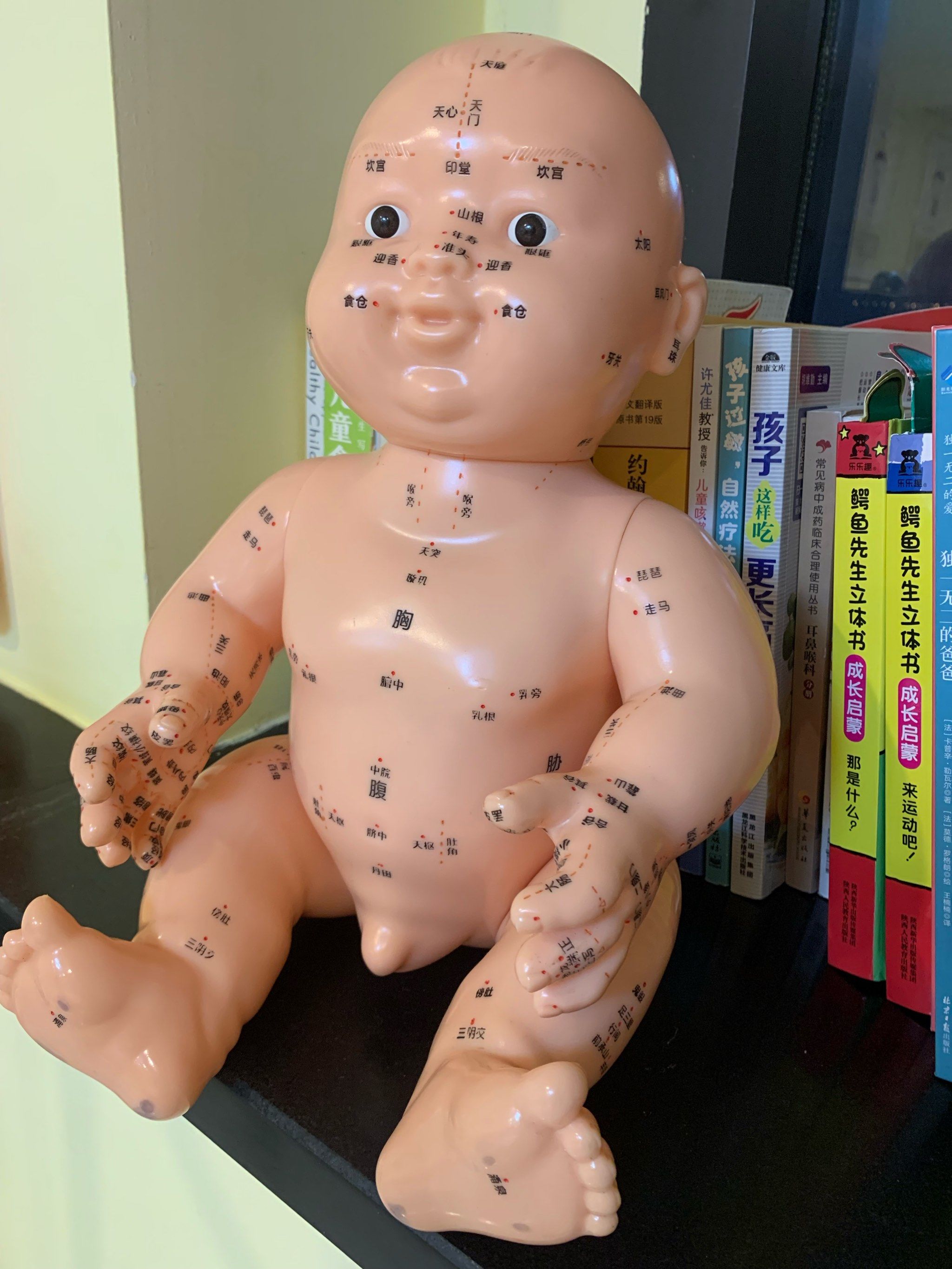 宝宝的脾胃问题一直没有得到很好的调理,尤